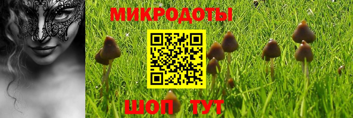 Десногорск  Галлюциногенные грибы мухоморы  Вход с VPN 