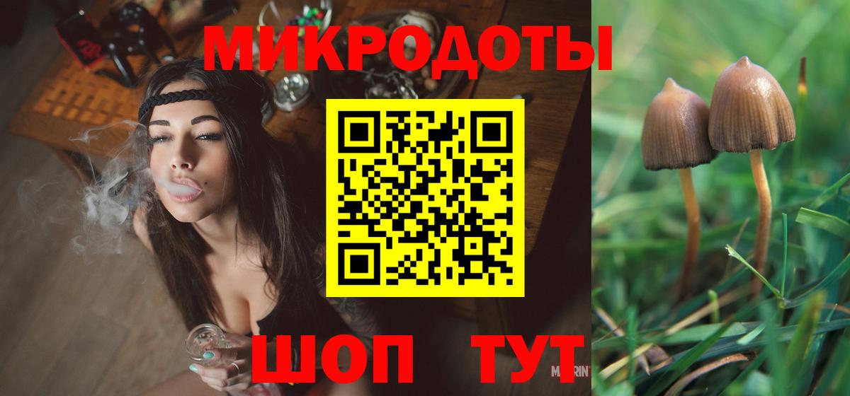 Псилоцибиновые грибы Cubensis Десногорск